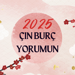 2025 Çin Burç Yorumu