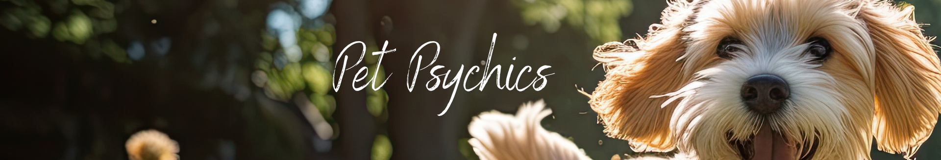 Psychic Readings: Enlighten Your Future!