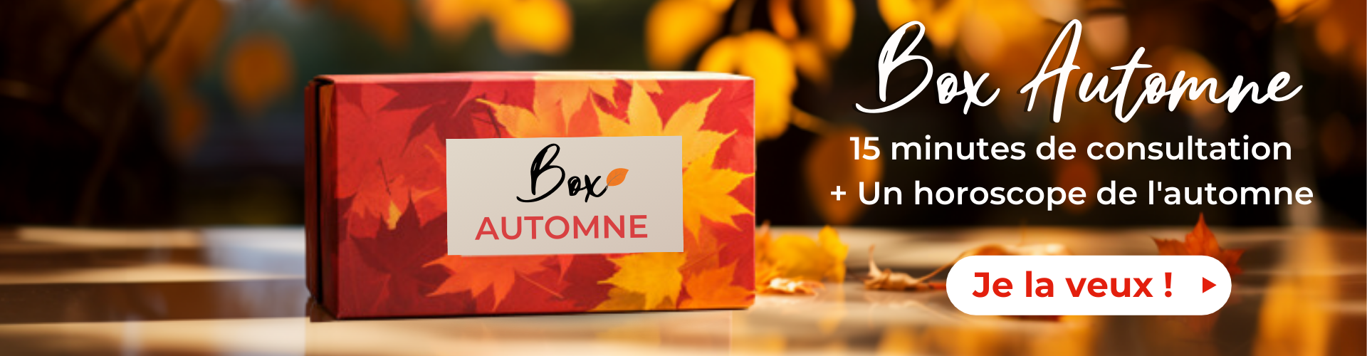 box automne