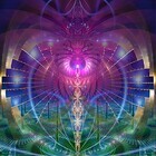 Humi Healings
