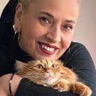 Ayşil Kaya