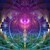Humi Healings