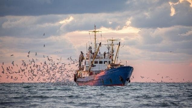 illustration Plan de résilience : les mesures pour la pêche