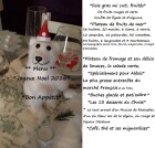 *** Une belle idée de déco de table pour Noel***