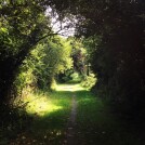 Ralentir, expérimenter le lâcher prise, ne plus...