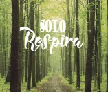 Respira,  baja tu ansiedad y purifica tus pensa...