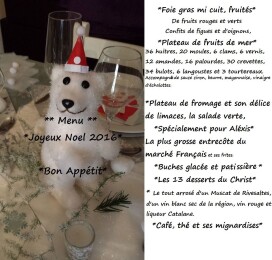 *** Une belle idée de déco de table pour Noel***