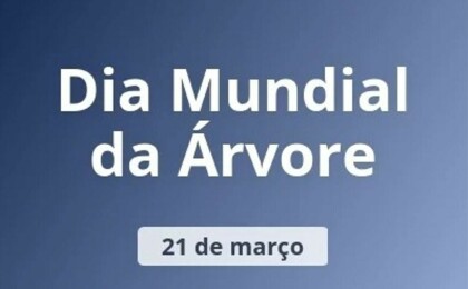 Dia Mundial da Arvore