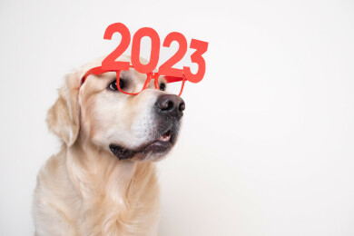votre année 2023 de la rumba dans l'air