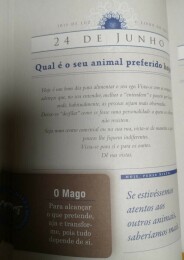 Livro do Ano - 24 de junho  de 2023
