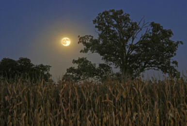 Pleine Lune 6° Bélier 29 septembre 2023