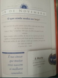 Livro do Ano - 28 de novembro de 2023