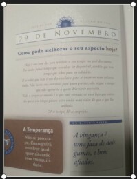 Livro do Ano - 29 de novembro de 2023