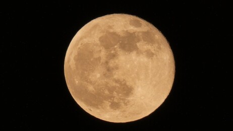 Pleine lune des vers