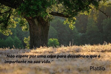 o momento de crise