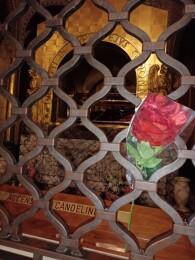 La rose rouge miraculeuse.