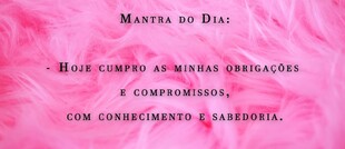 Carta do dia: V o Papa + 28 Cavalheiro