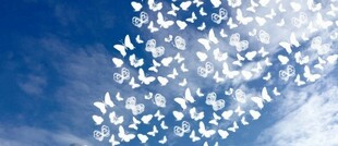 Que mensagem tem para si, o oráculo "Mensagens do Paraíso"?