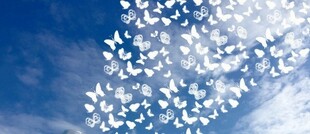 Que mensagem tem para si, o oráculo "Mensagens do Paraíso"?...