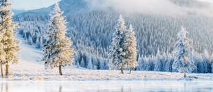 Horóscopo de Janeiro 2018