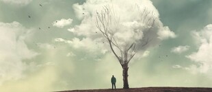 Será Hipersensível?