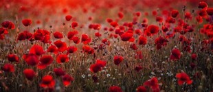 Horóscopo de Março 2018